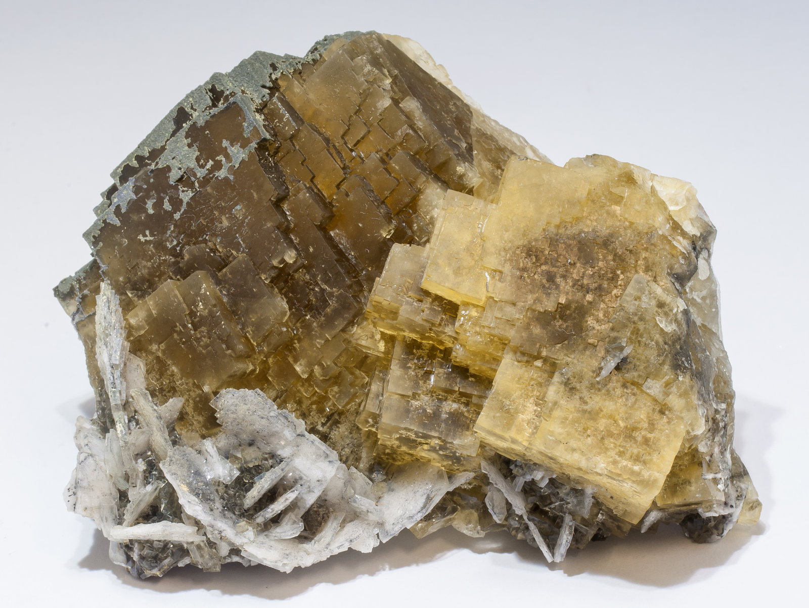 specimens/s_imagesAM0/Fluorite-EB49AM0s.jpg