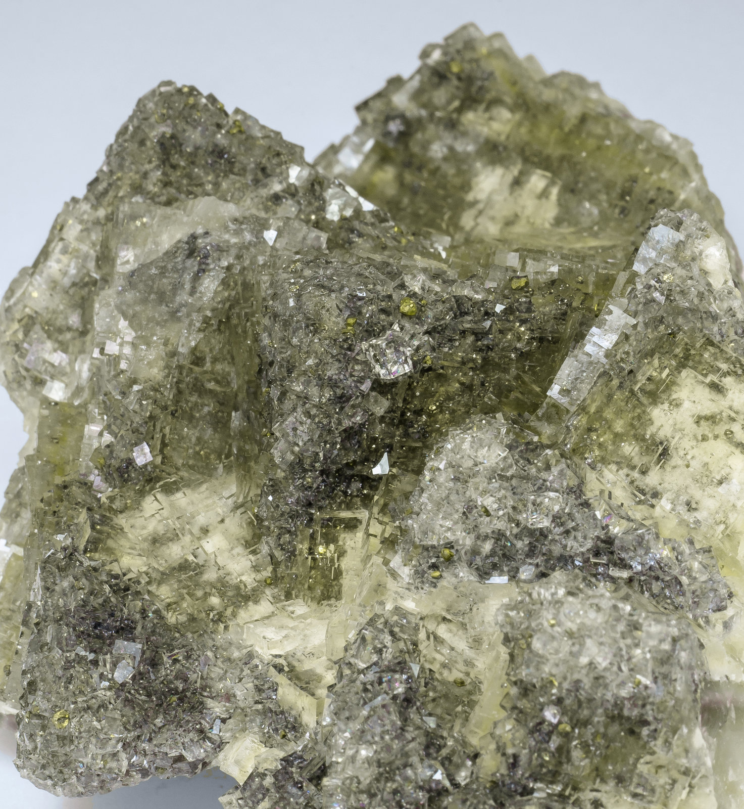 specimens/s_imagesAM0/Fluorite-EC87AM0d.jpg