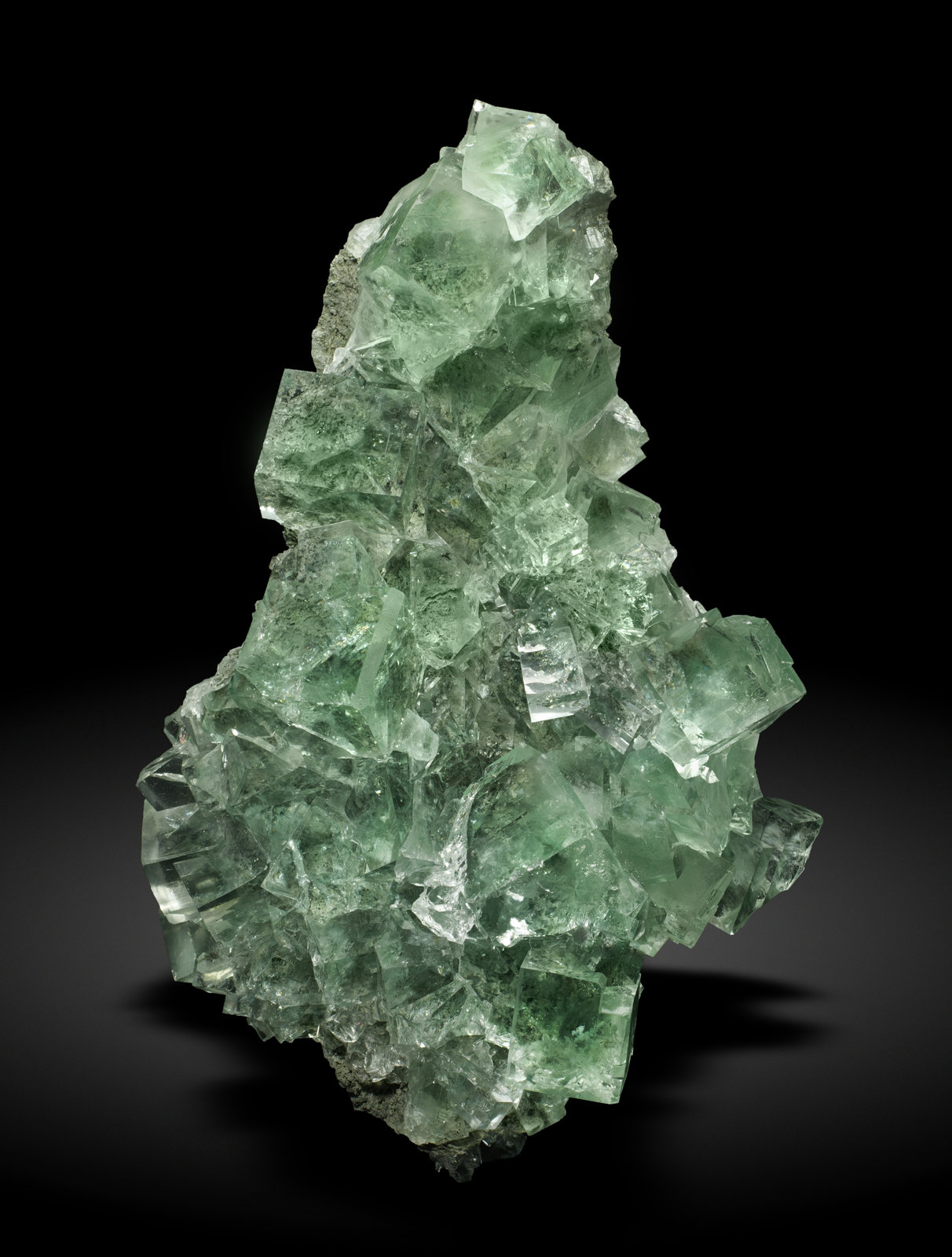 specimens/s_imagesAM0/Fluorite-EK89AM0_2370_f.jpg