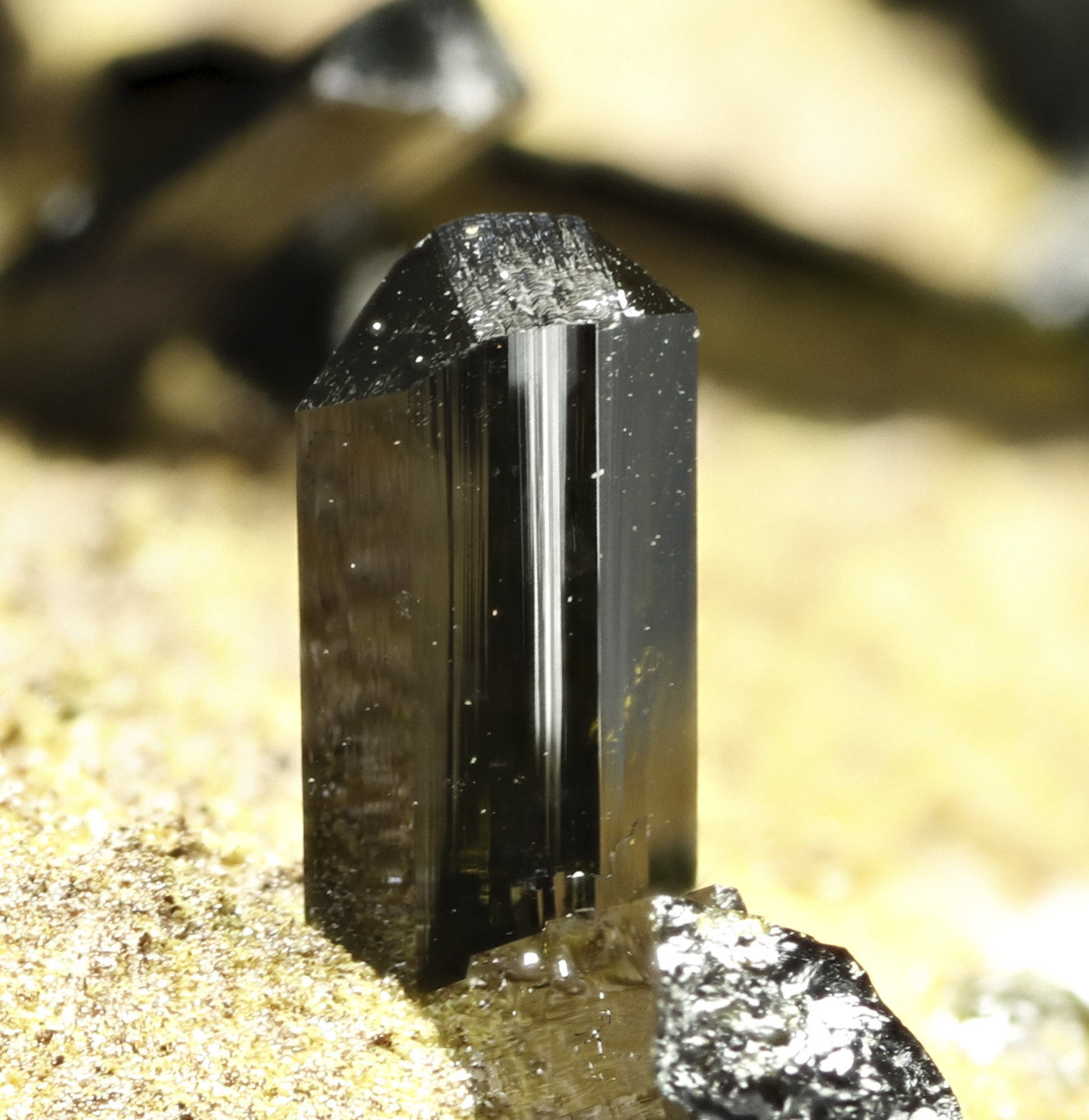 specimens/s_imagesAM0/Olivenite-TF49AM0_2769_d2.jpg