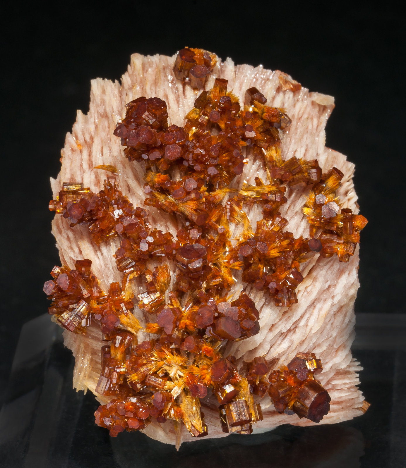specimens/s_imagesAM0/Vanadinite-EB16AM0f.jpg