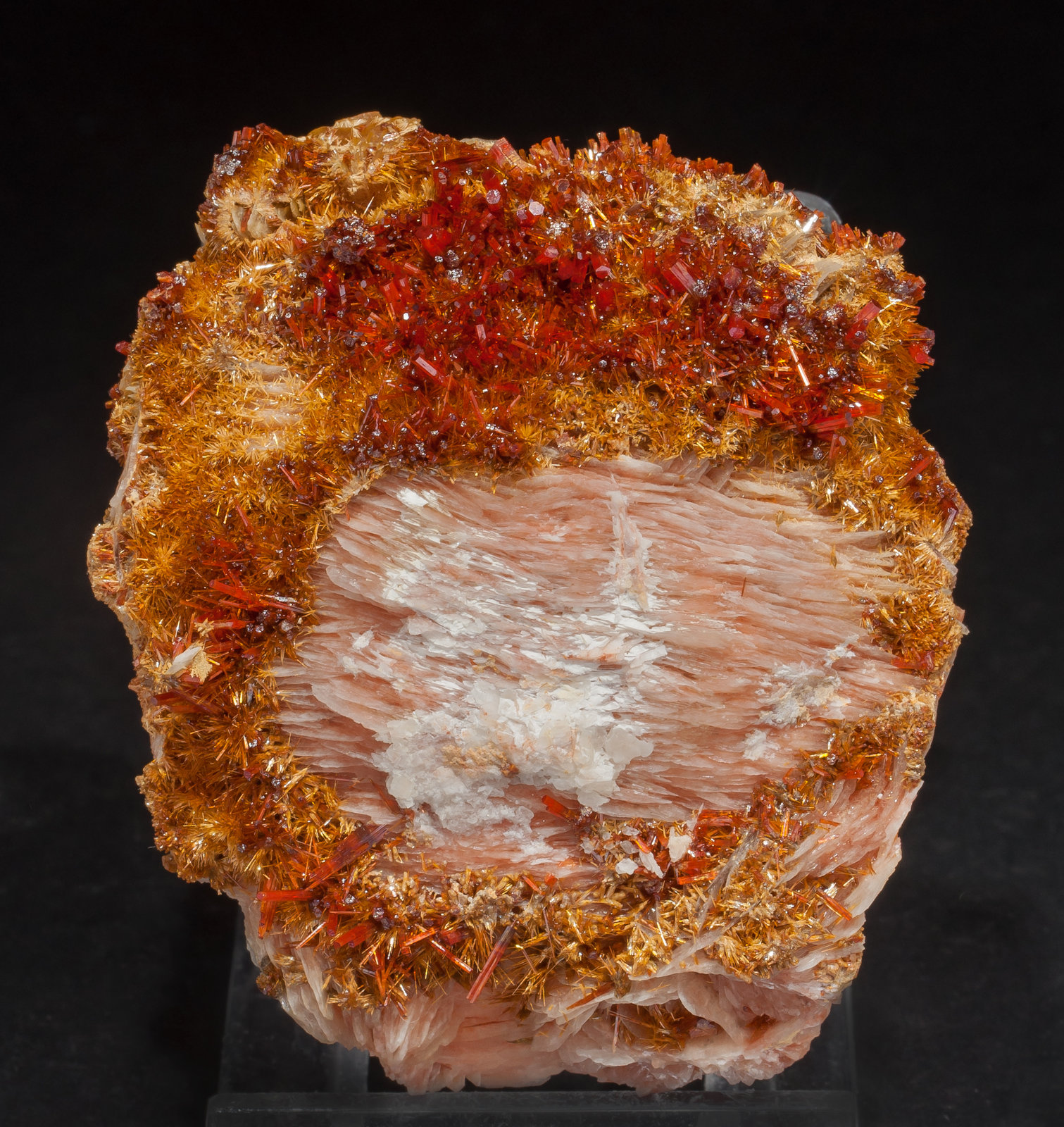 specimens/s_imagesAM0/Vanadinite-EE87AM0f.jpg