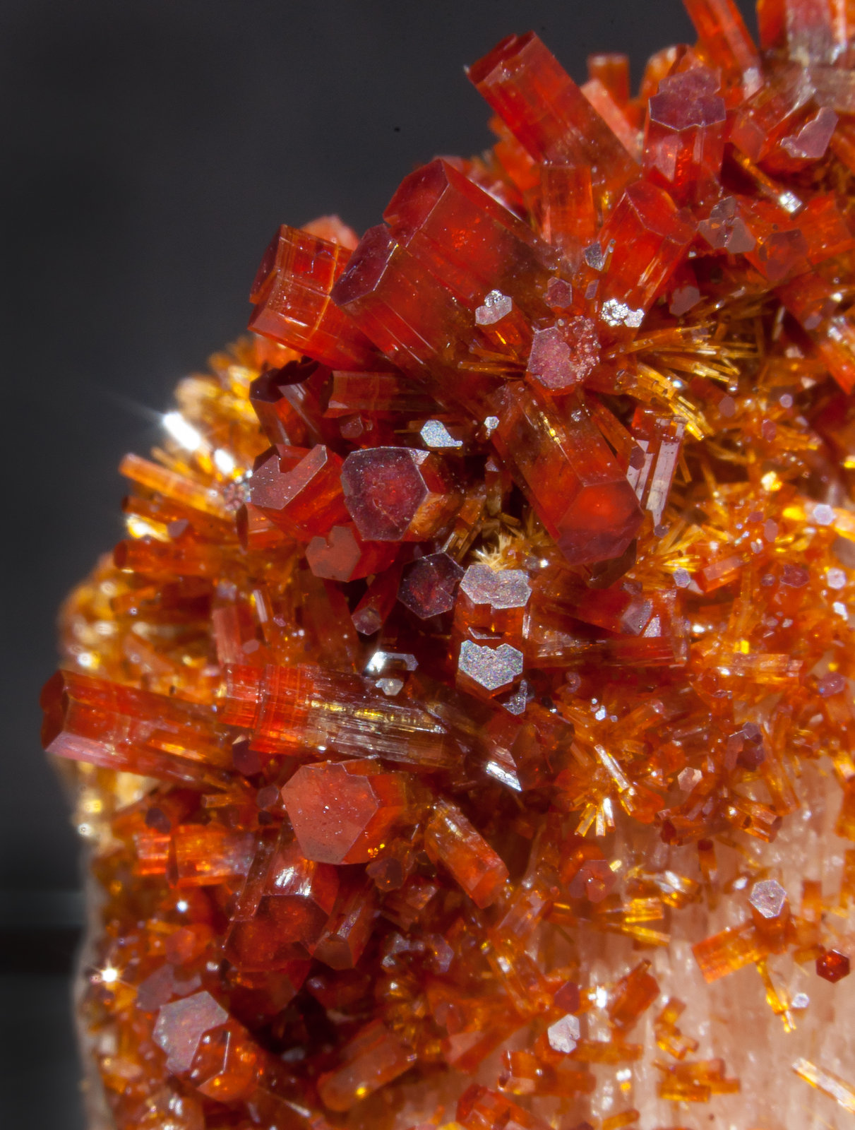 specimens/s_imagesAM0/Vanadinite-EF16AM0d.jpg