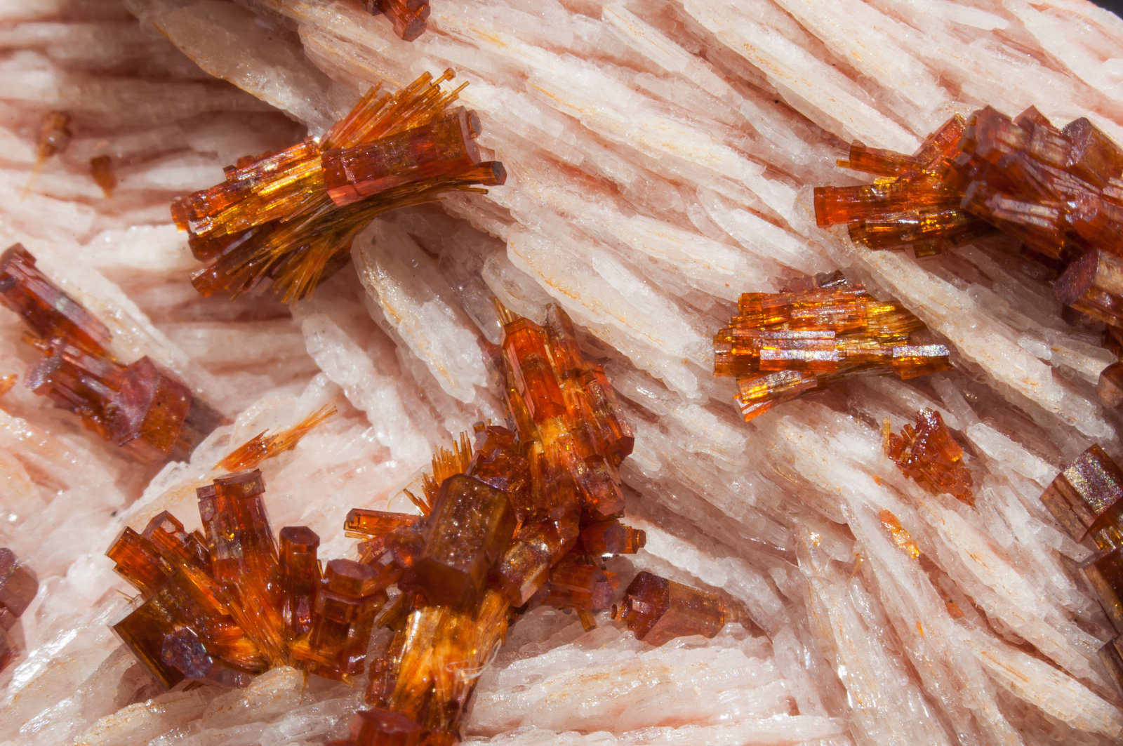 specimens/s_imagesAM0/Vanadinite-EF46AM0d.jpg