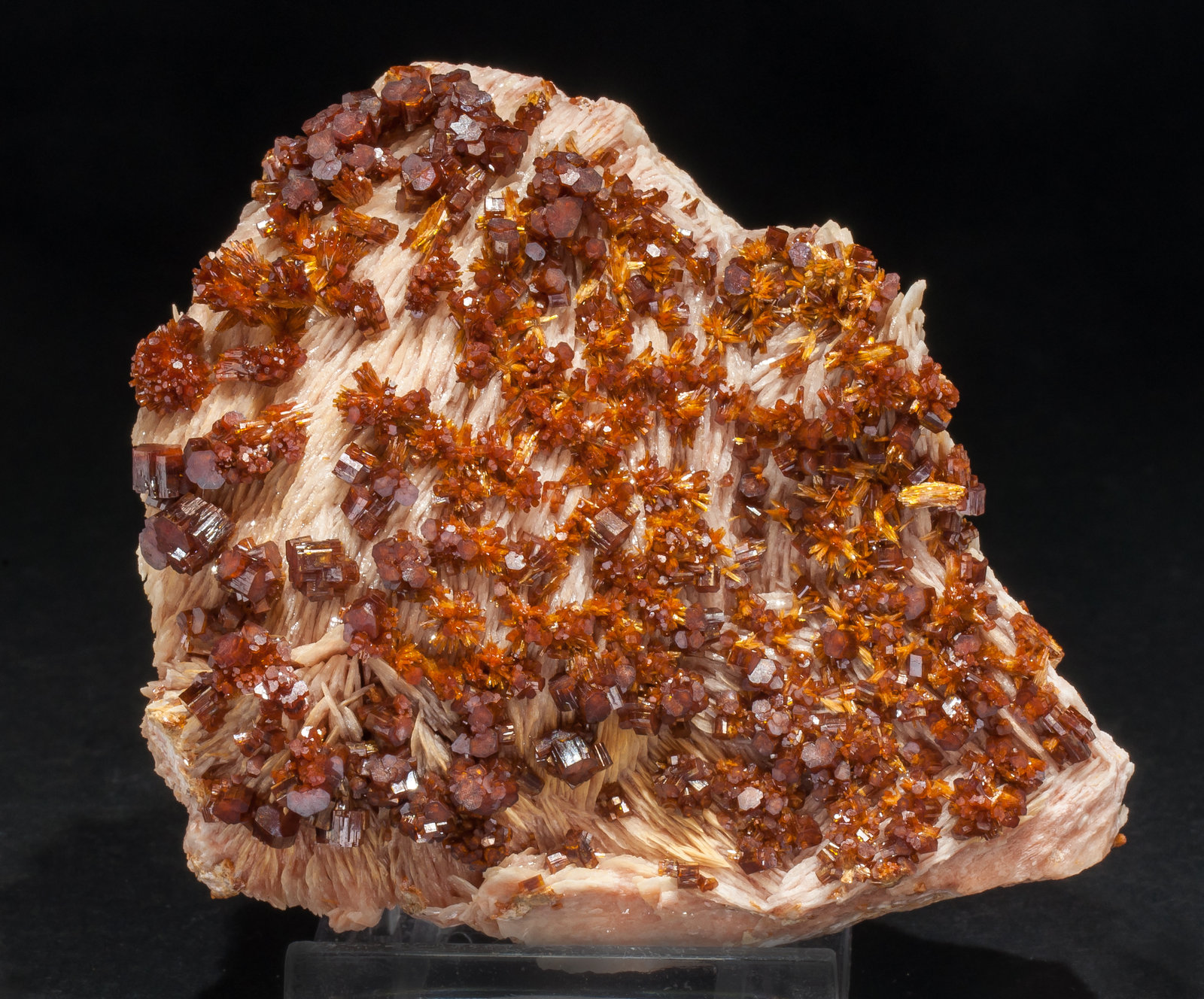 specimens/s_imagesAM0/Vanadinite-EH17AM0s.jpg