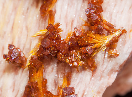 Vanadinite with Baryte. 