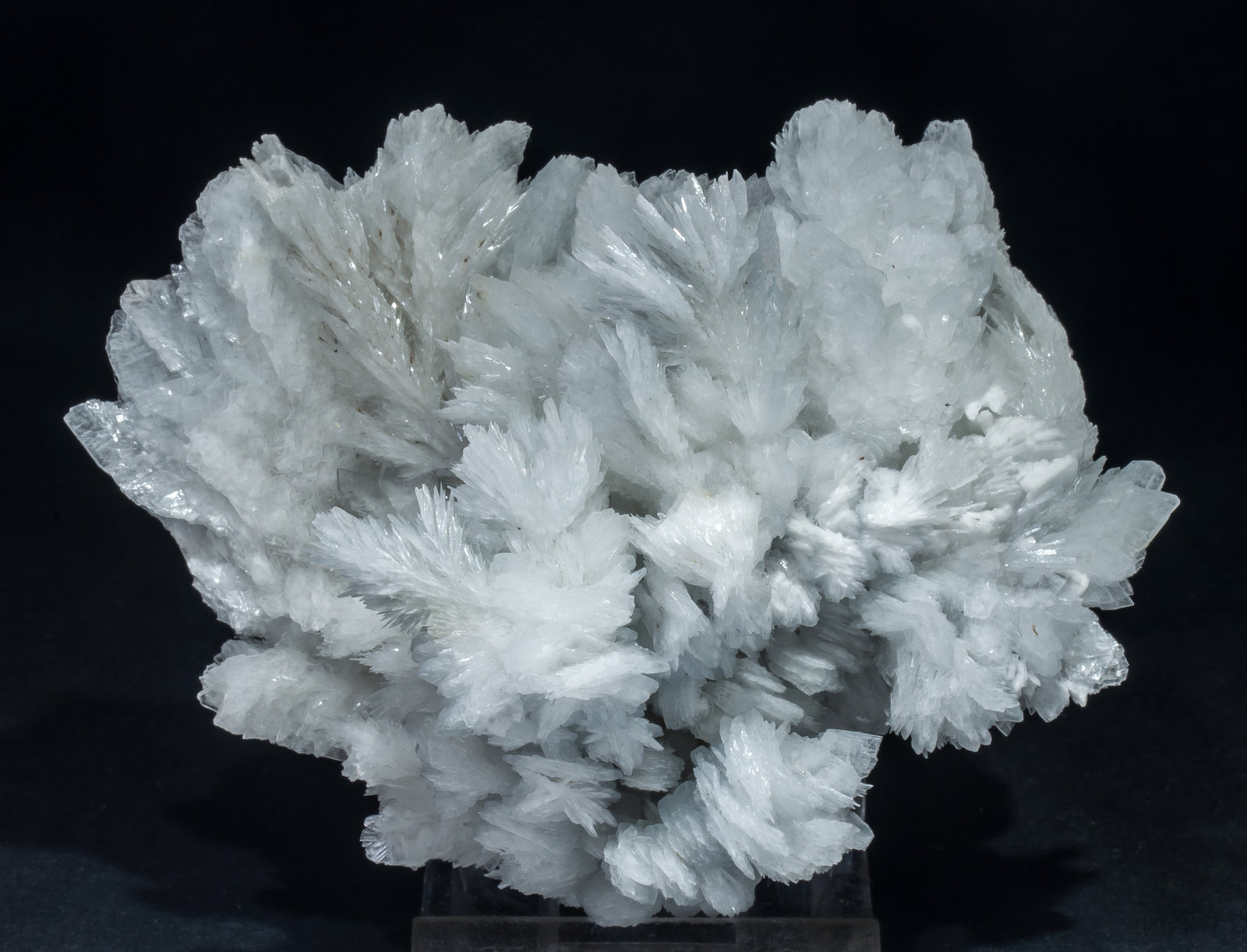 specimens/s_imagesAM1/Baryte-NA14AM1f.jpg