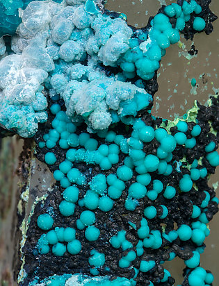 Chrysocolla on Quartz (variety smoky). 