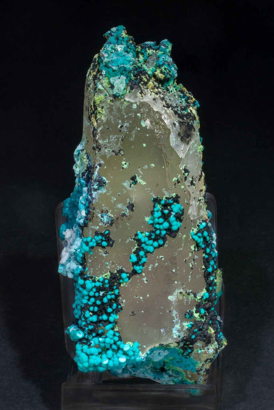 specimens/s_imagesAM1/Chrysocolla-TC7AM1f.jpg