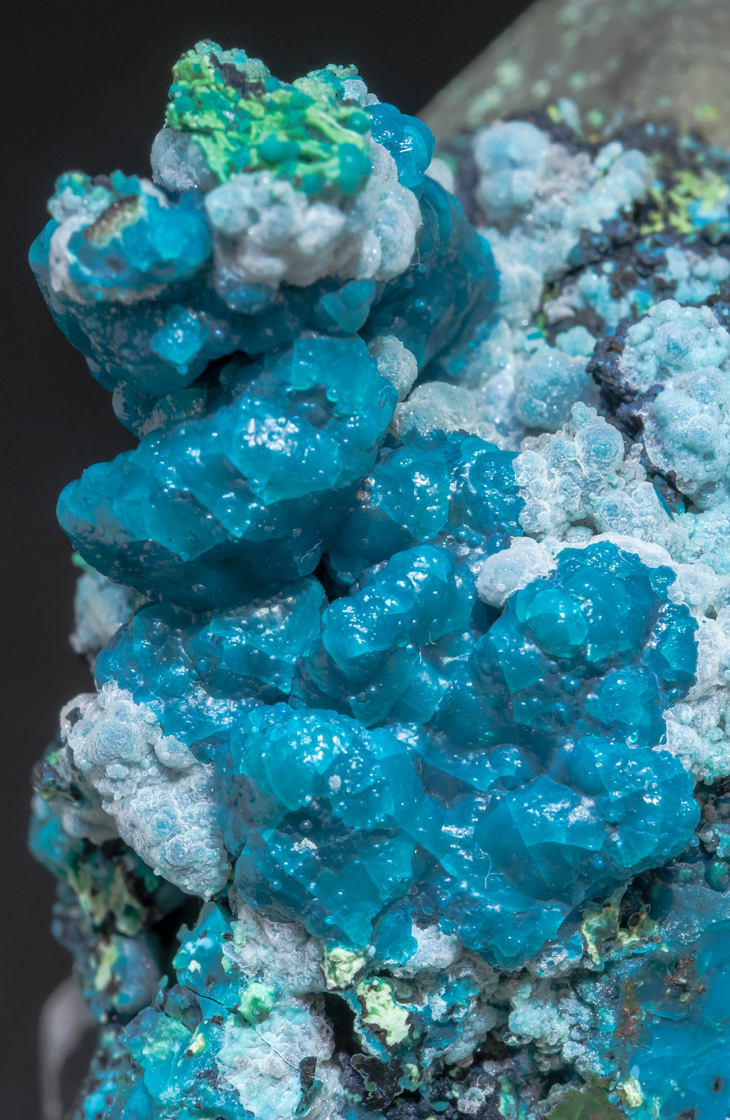 specimens/s_imagesAM1/Chrysocolla-TE58AM1d.jpg