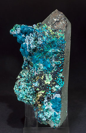 Chrysocolla on Quartz (variety smoky). Front