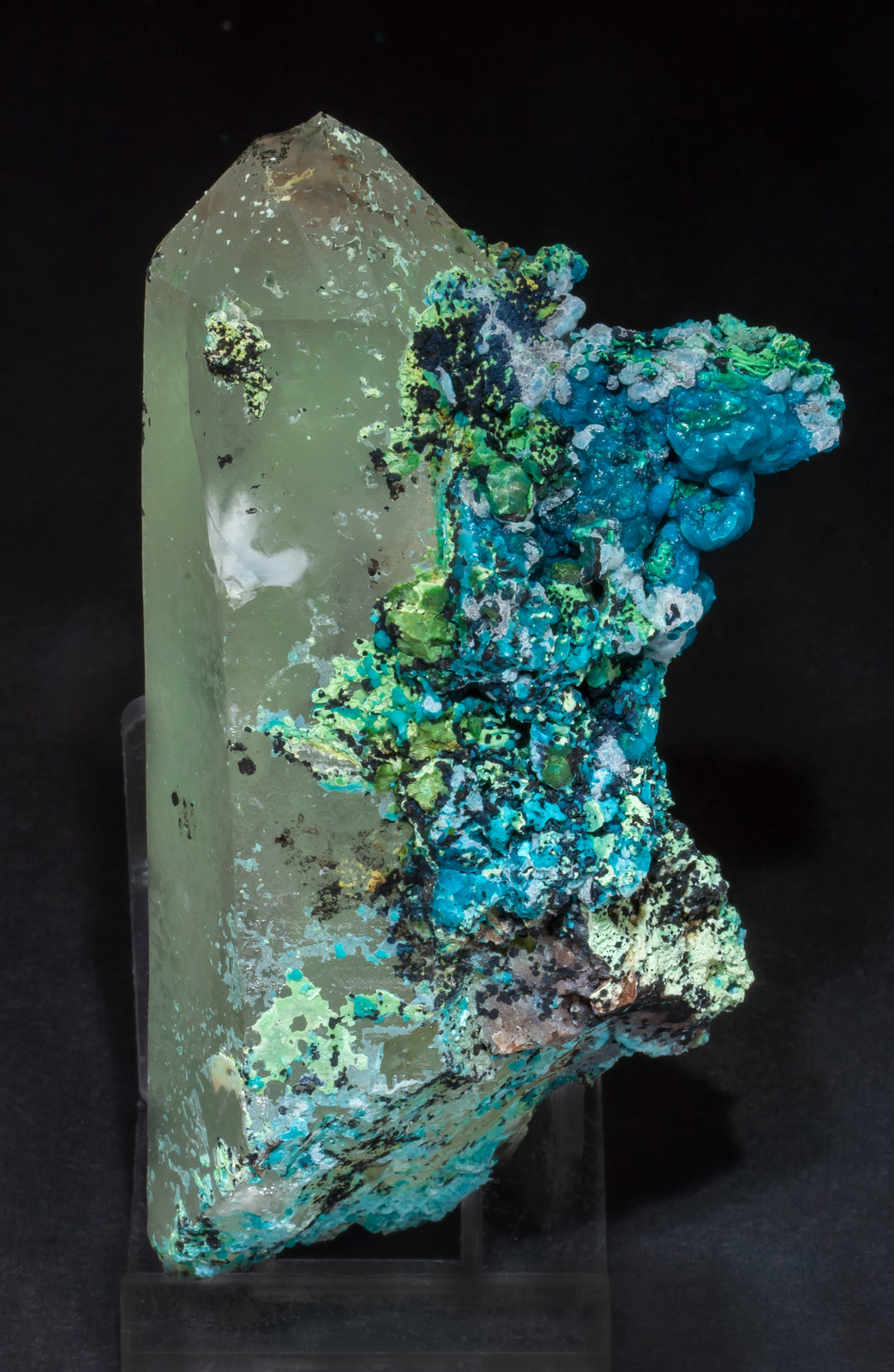 specimens/s_imagesAM1/Chrysocolla-TE58AM1r.jpg