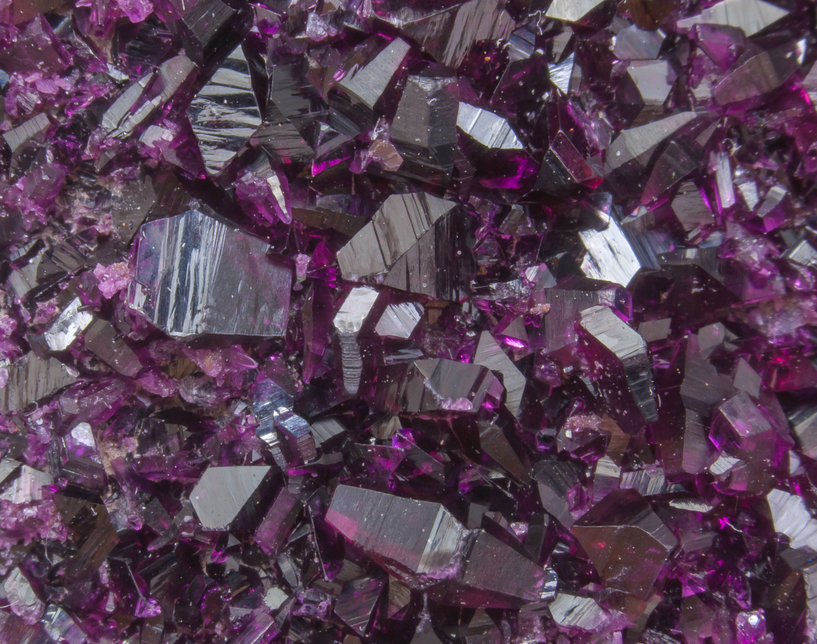 specimens/s_imagesAM1/Clinochlore_Kammererite-EQ46AM1d.jpg