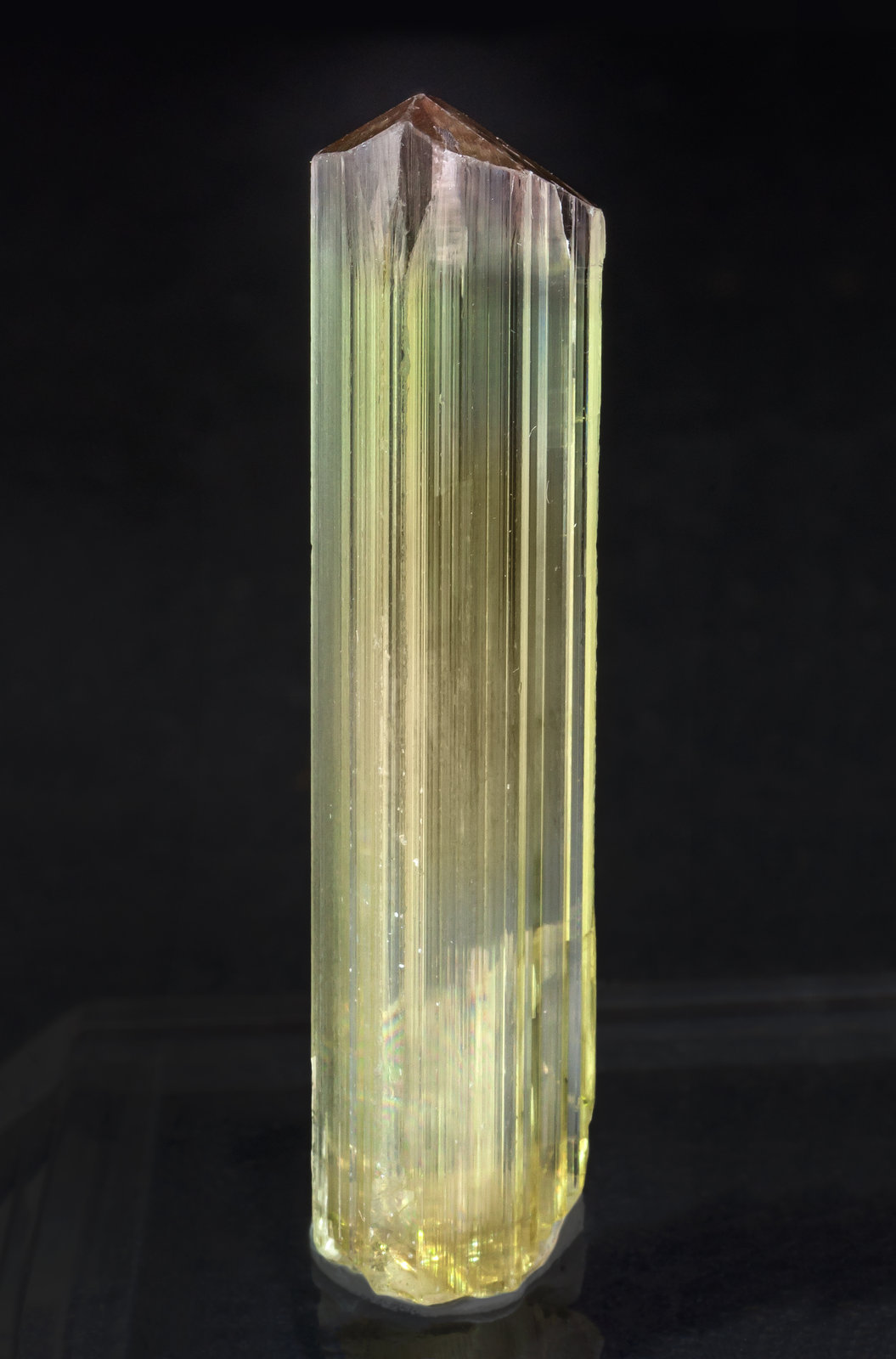 specimens/s_imagesAM1/Diaspore-ET73AM1f.jpg