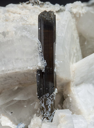 Elbaite-Schorl Series with Feldspar and Quartz. Detail