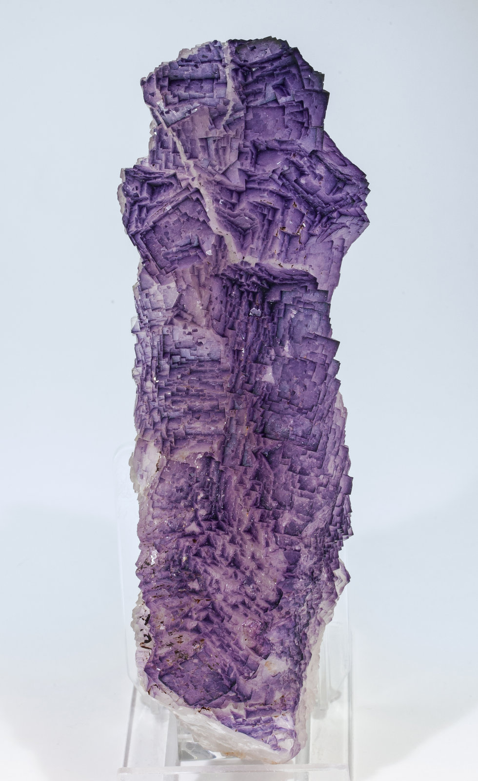 specimens/s_imagesAM1/Fluorite-ET87AM1f.jpg