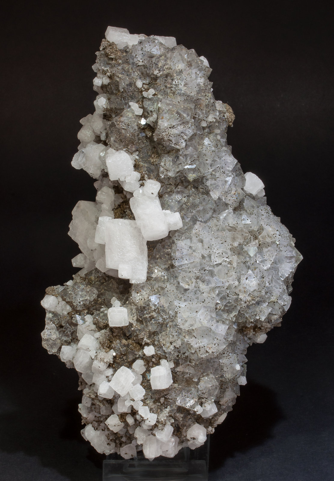 specimens/s_imagesAM1/Fluorite-FT37AM1f.jpg