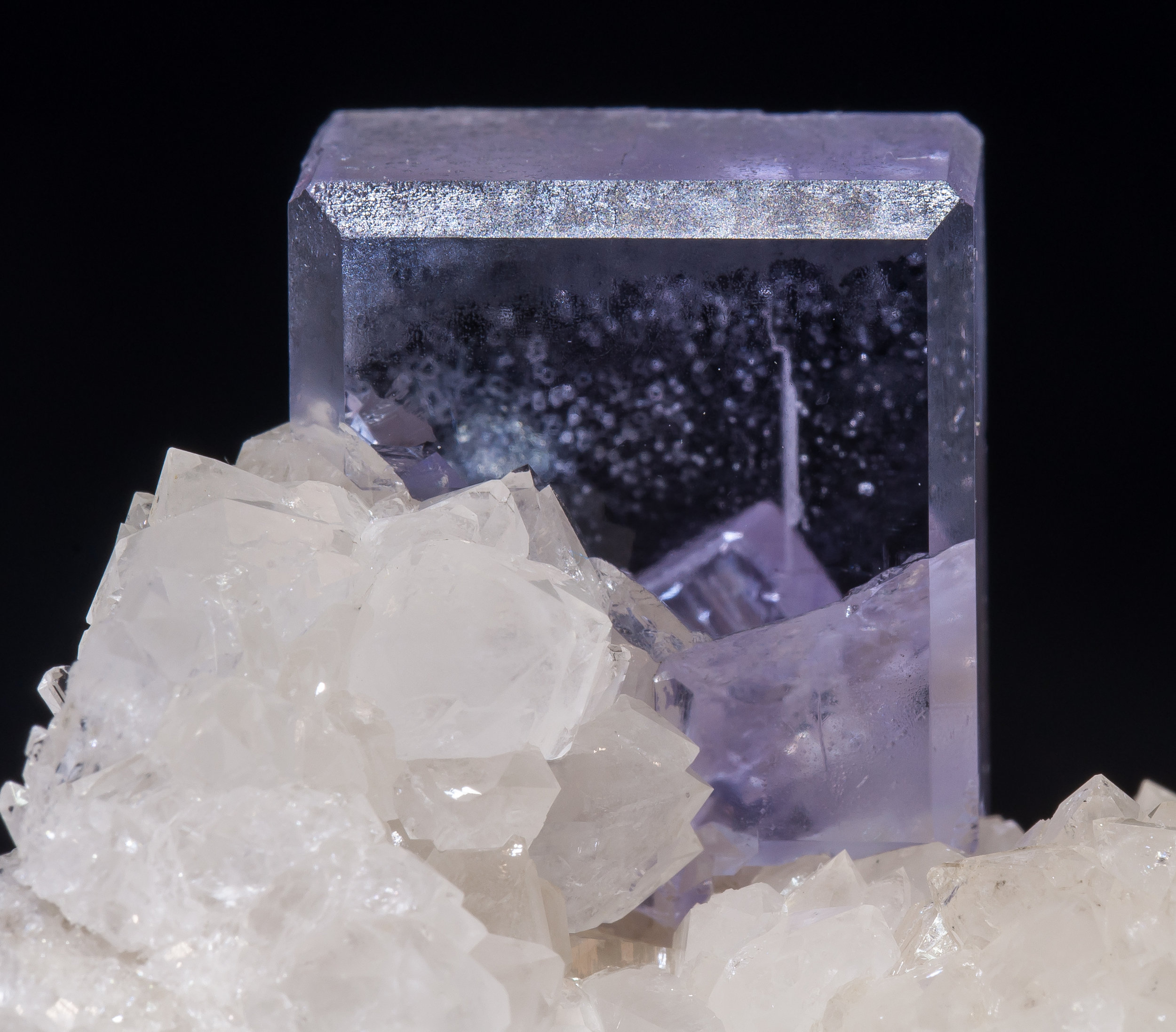 specimens/s_imagesAM1/Fluorite-NG99AM1d1.jpg