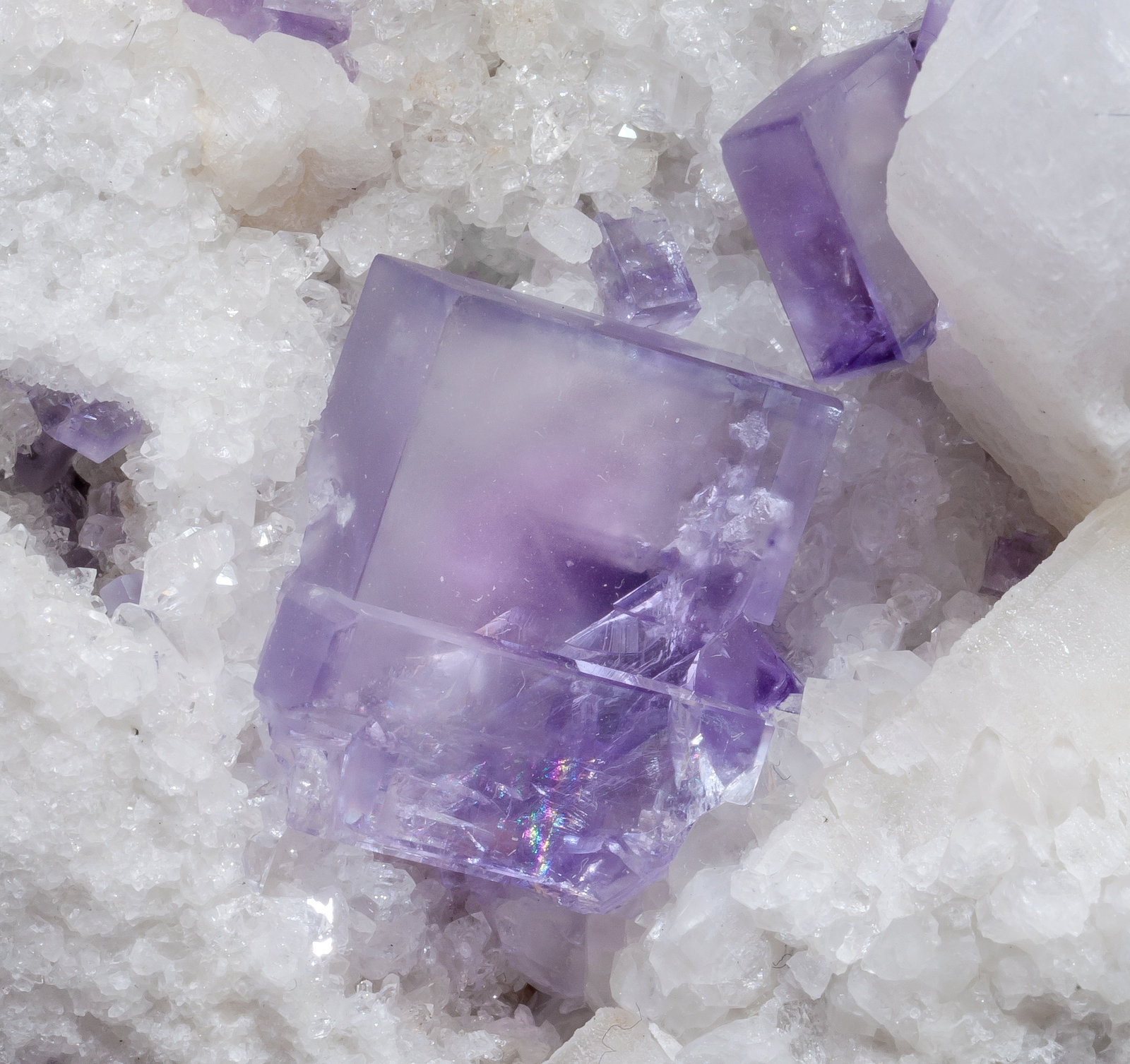 specimens/s_imagesAM1/Fluorite-NJ93AM1d2.jpg