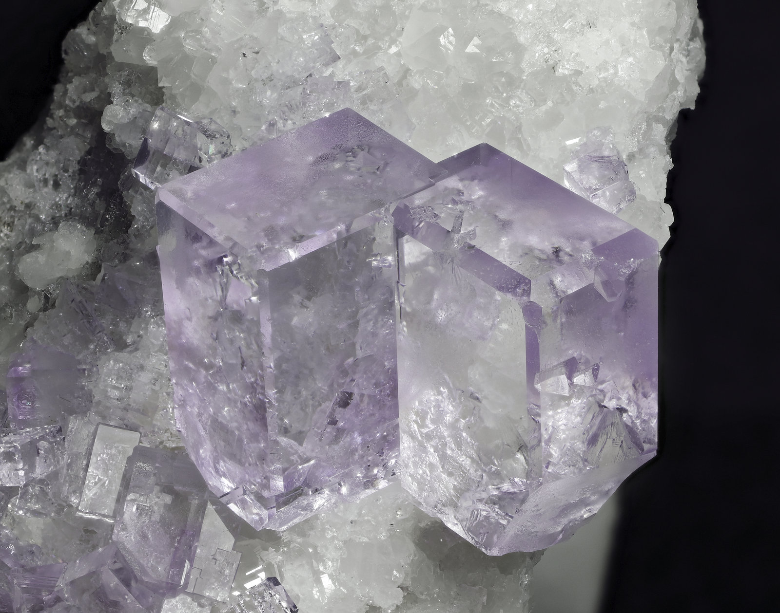 specimens/s_imagesAM1/Fluorite-NT90AM1_3595_d2.jpg