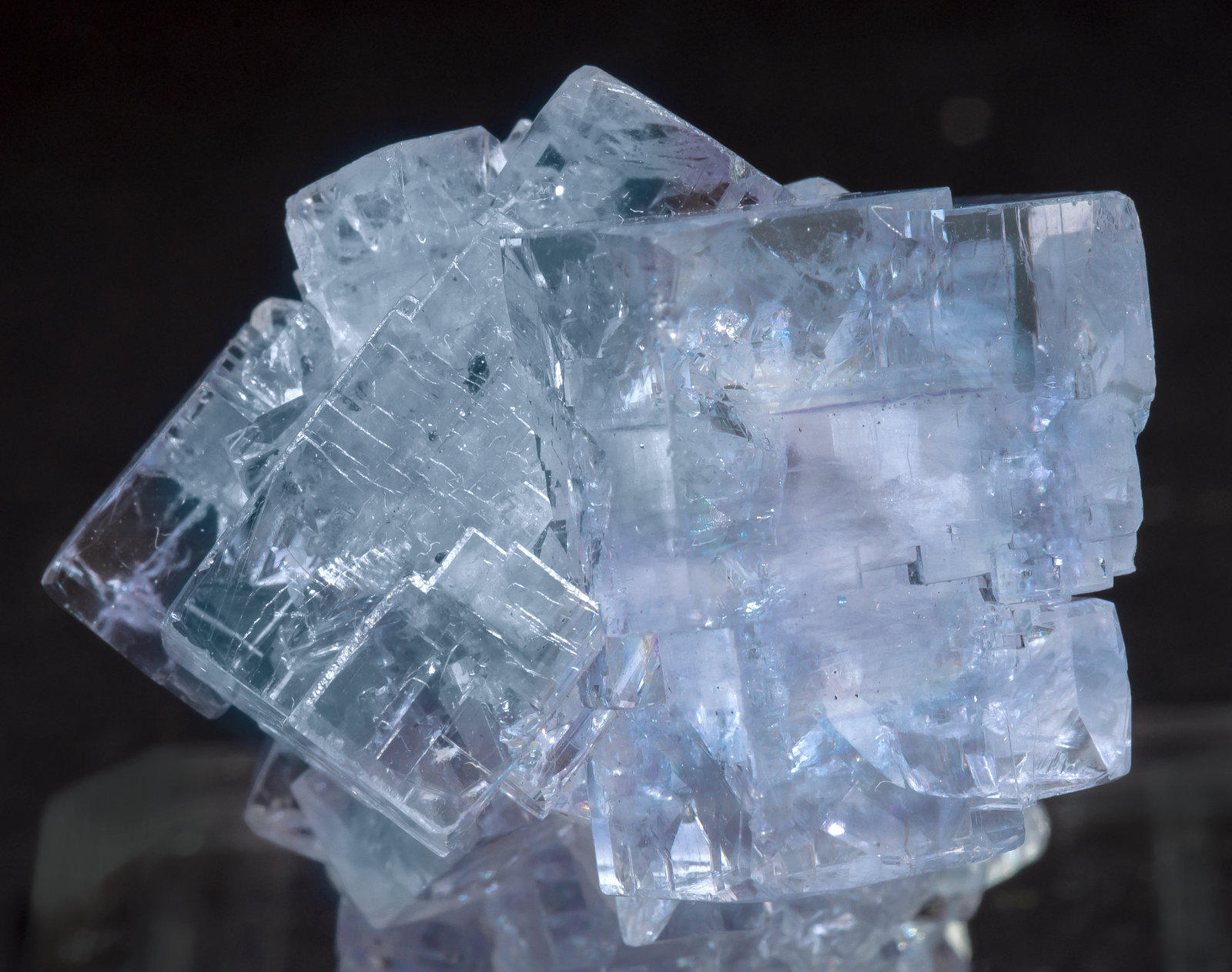 specimens/s_imagesAM1/Fluorite-NV26AM1d.jpg