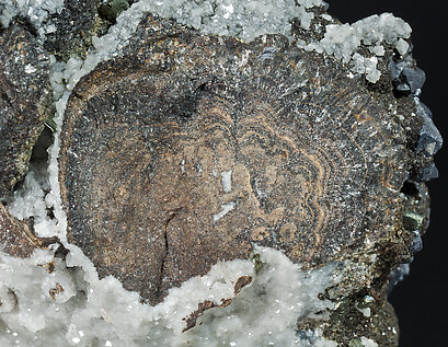 Galena with Sphalerite and Marcasite. 