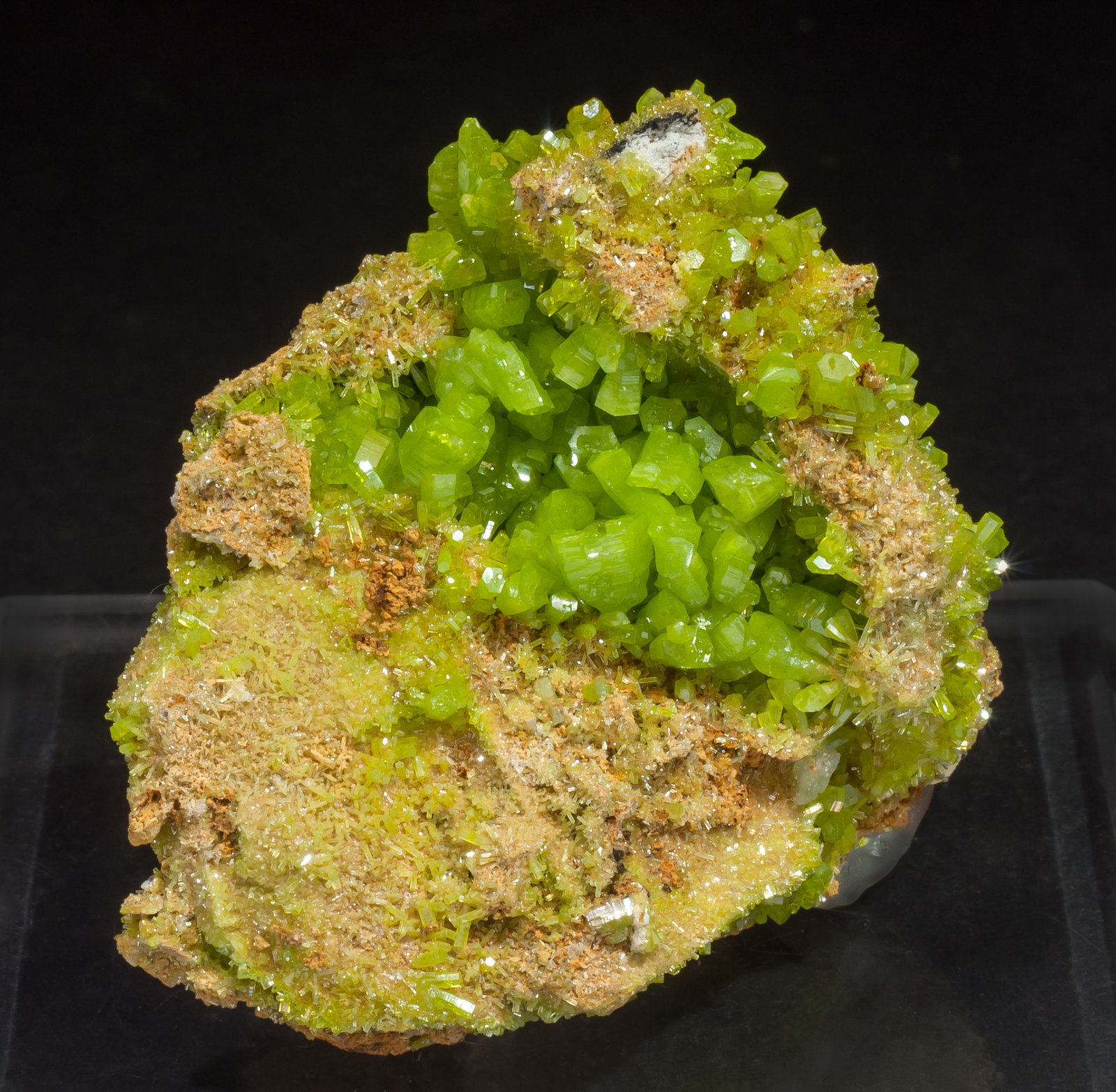 specimens/s_imagesAM1/Pyromorphite-TM89AM1f.jpg