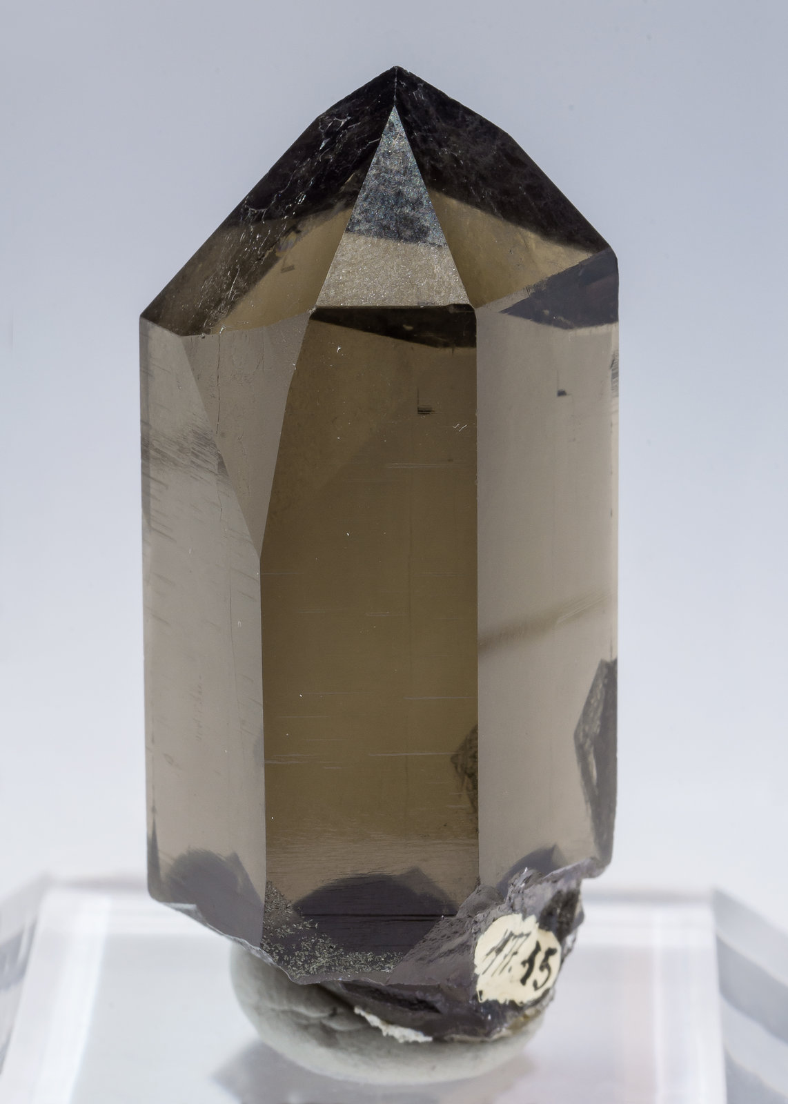 specimens/s_imagesAM1/Quartz_smoky-CB12AM1r.jpg