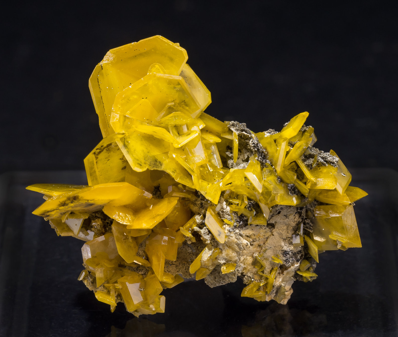 specimens/s_imagesAM1/Wulfenite-EE14AM1f.jpg