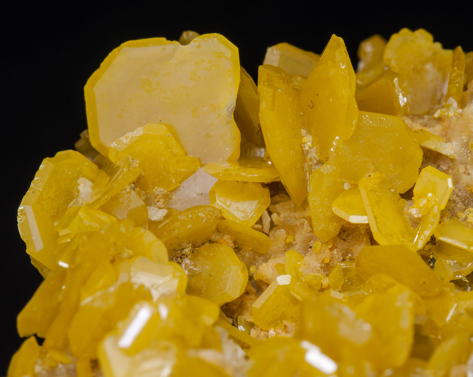 specimens/s_imagesAM1/Wulfenite-EF56AM1d.jpg