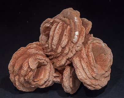 Baryte (variety baryte rose). Rear