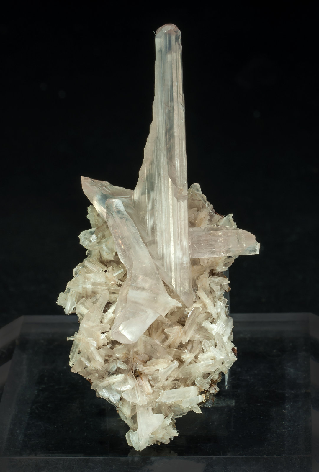 specimens/s_imagesAM2/Cerussite-EG88AM2f.jpg