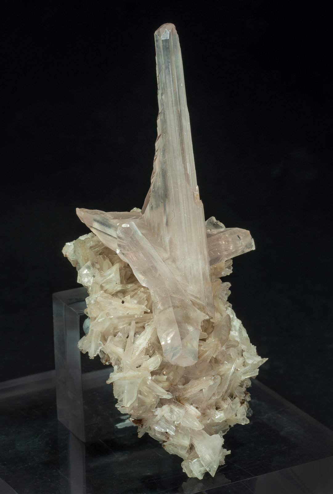 specimens/s_imagesAM2/Cerussite-EG88AM2s.jpg