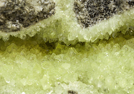 Fluorapophyllite-(K) with Harmotome. 