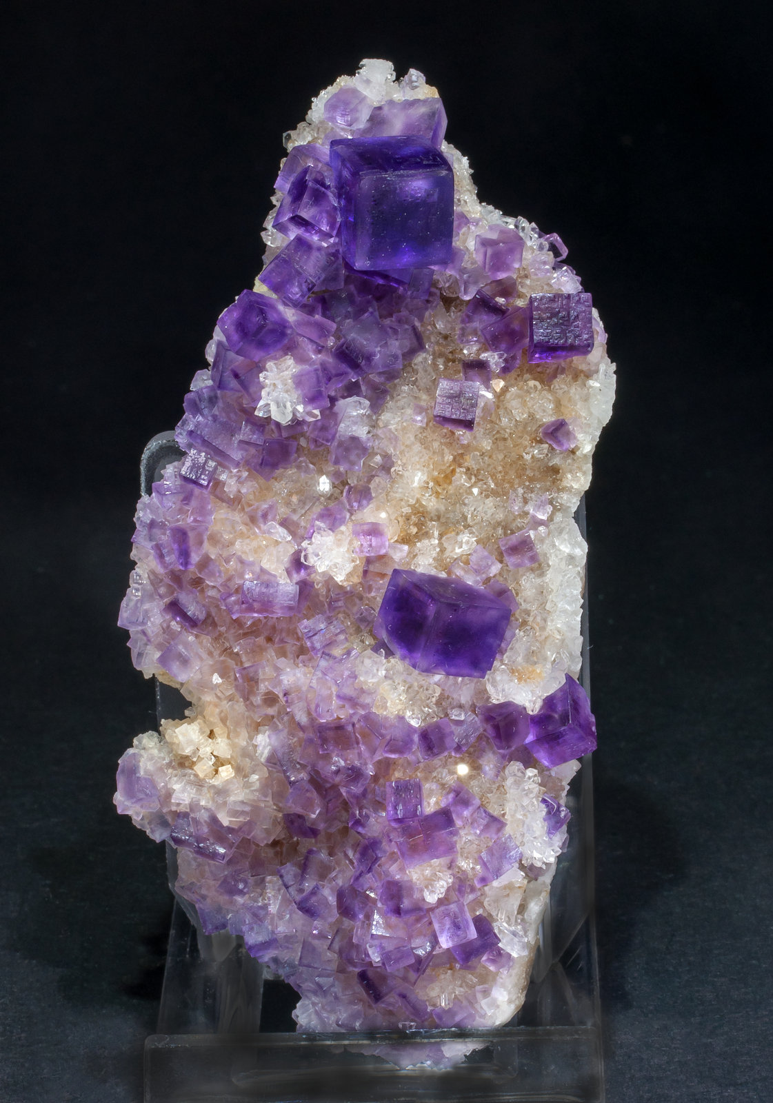 specimens/s_imagesAM2/Fluorite-EM66AM2f.jpg