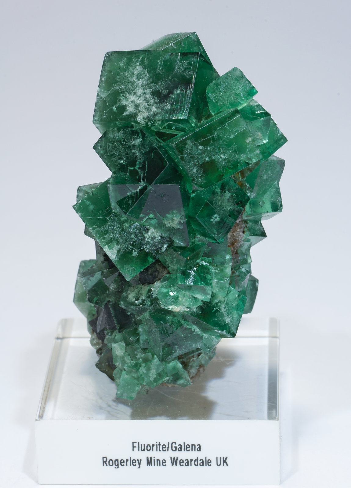 specimens/s_imagesAM2/Fluorite-FB46AM2f.jpg