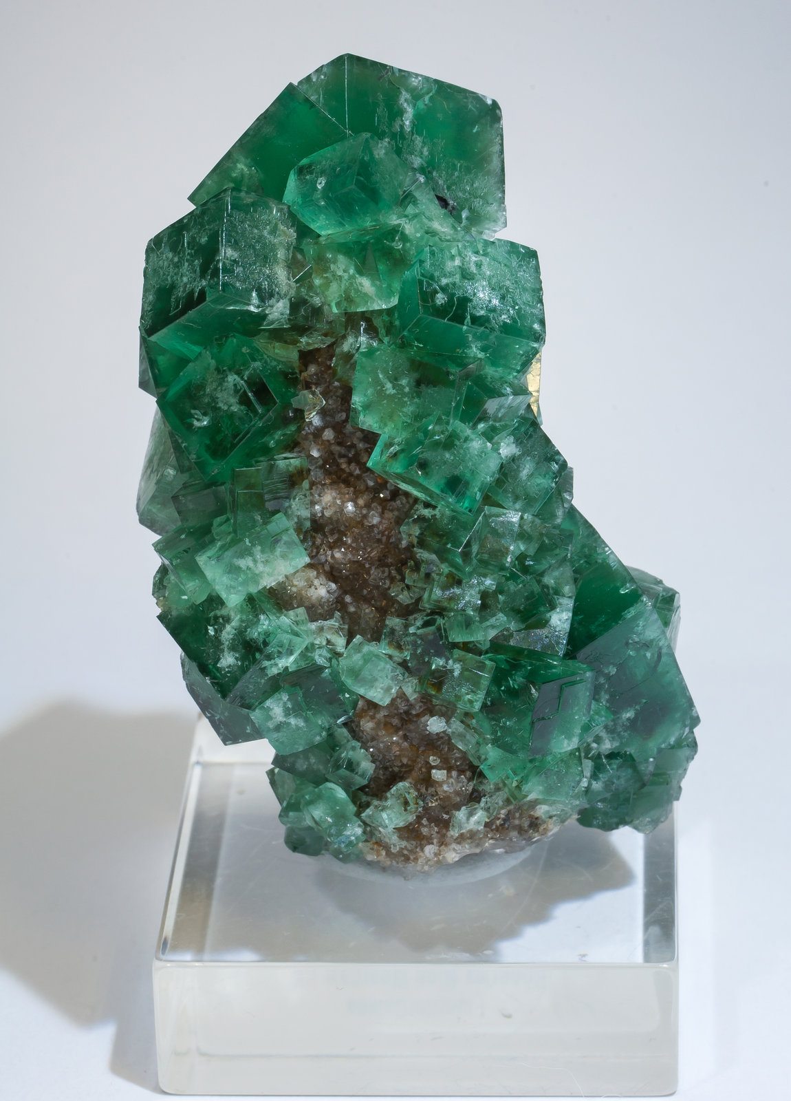 specimens/s_imagesAM2/Fluorite-FB46AM2s.jpg