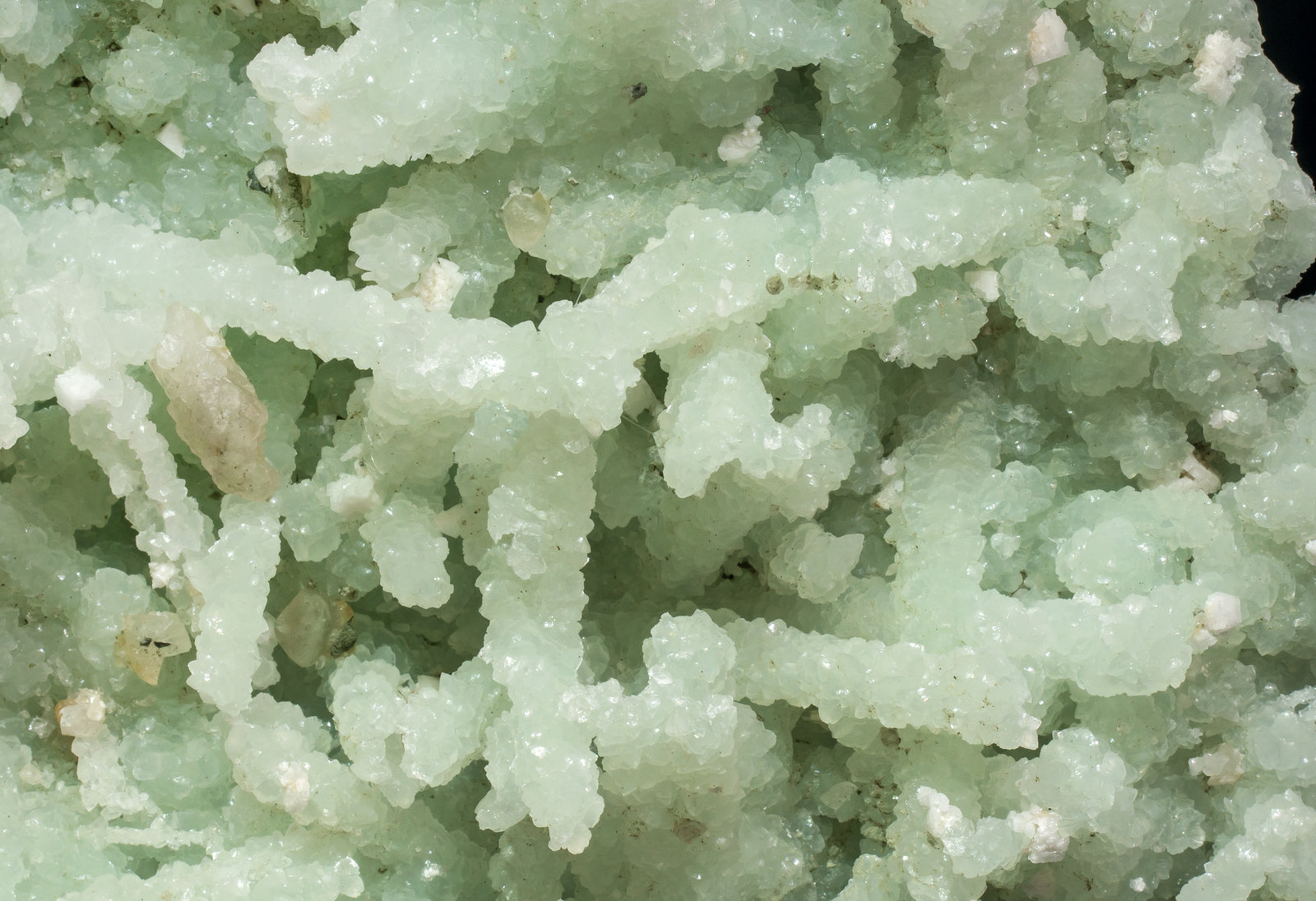 specimens/s_imagesAM2/Prehnite-EX66AM2d.jpg