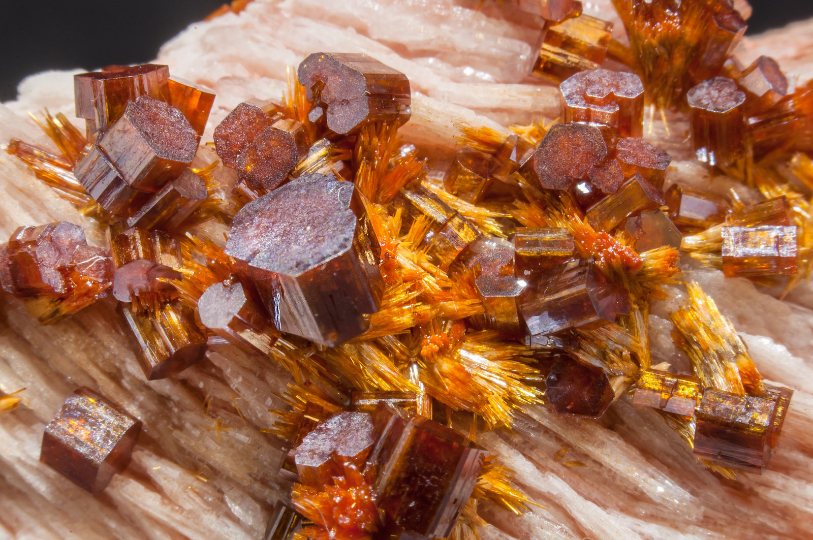 specimens/s_imagesAM2/Vanadinite-EC12AM2d.jpg