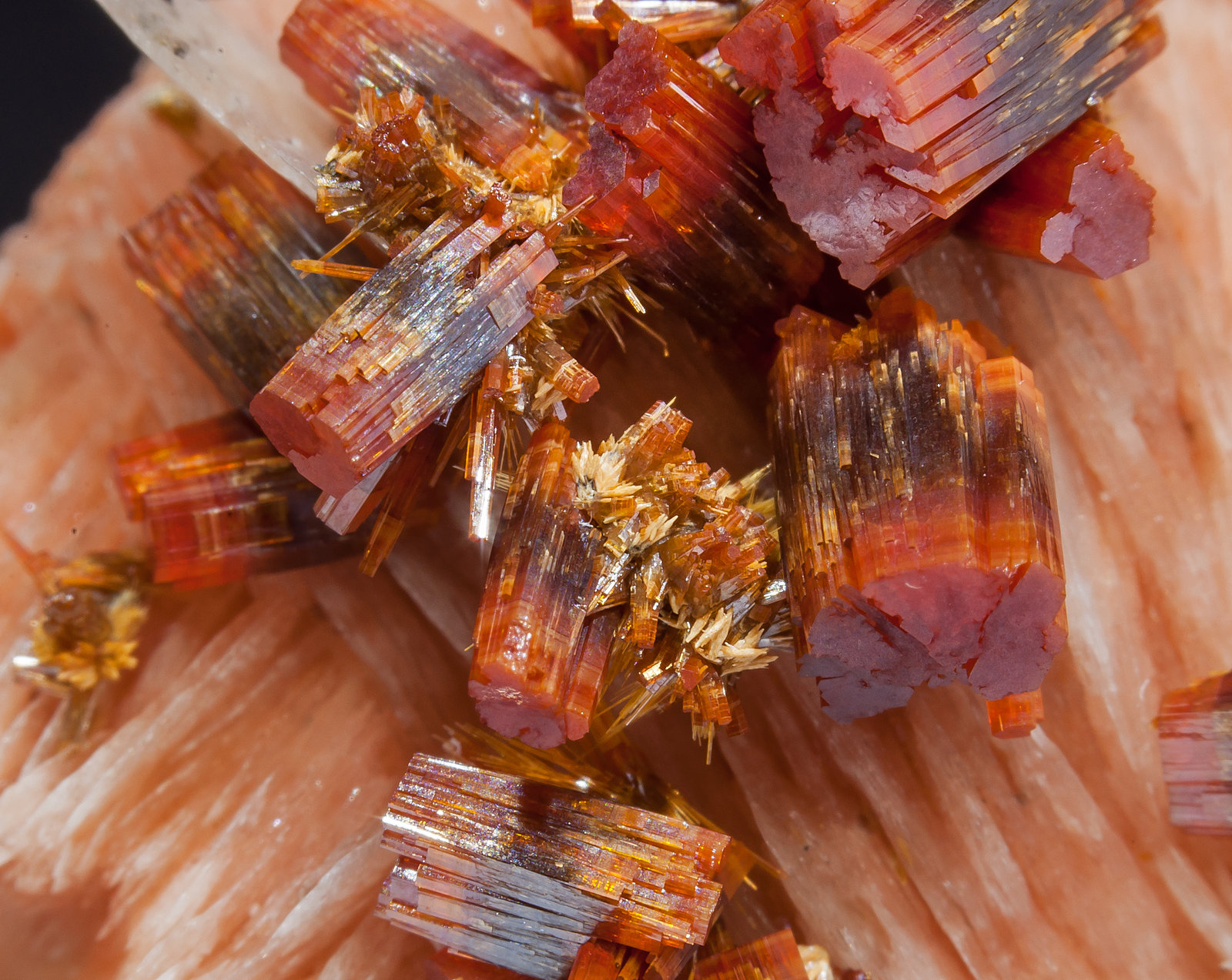 specimens/s_imagesAM2/Vanadinite-EC13AM2d.jpg