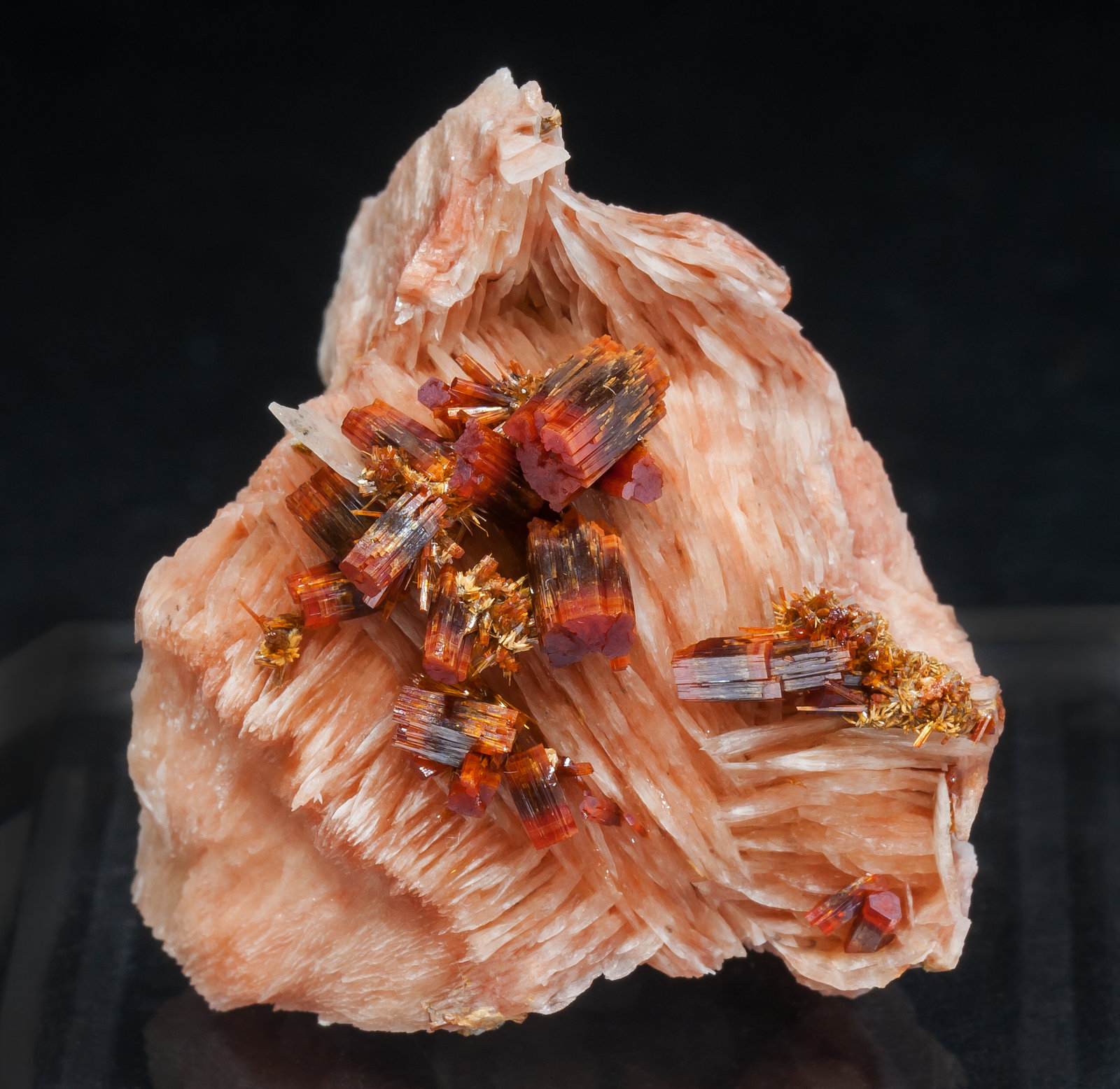 specimens/s_imagesAM2/Vanadinite-EC13AM2f.jpg