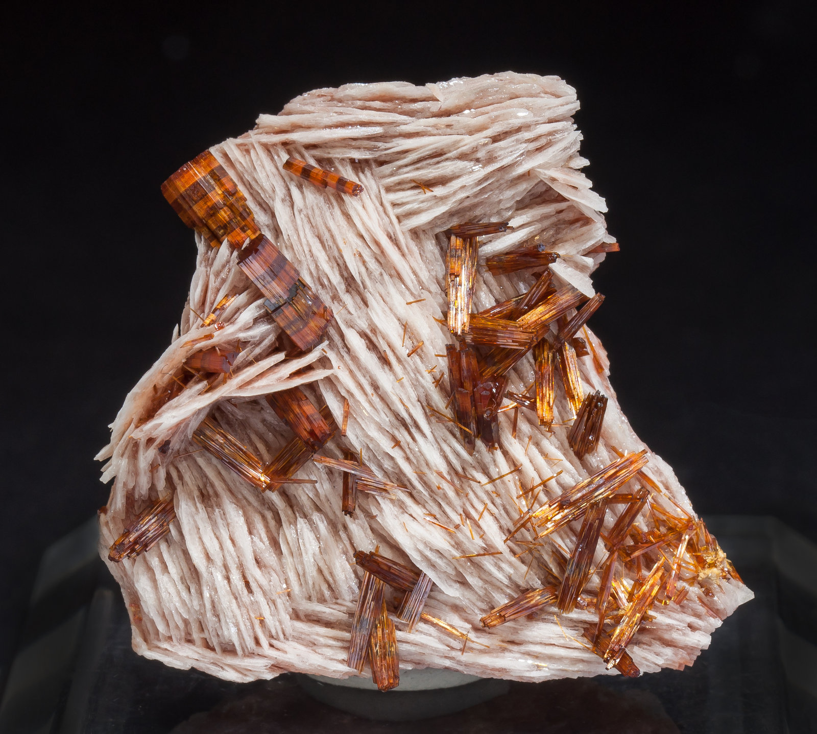 specimens/s_imagesAM2/Vanadinite-ED14AM2f.jpg