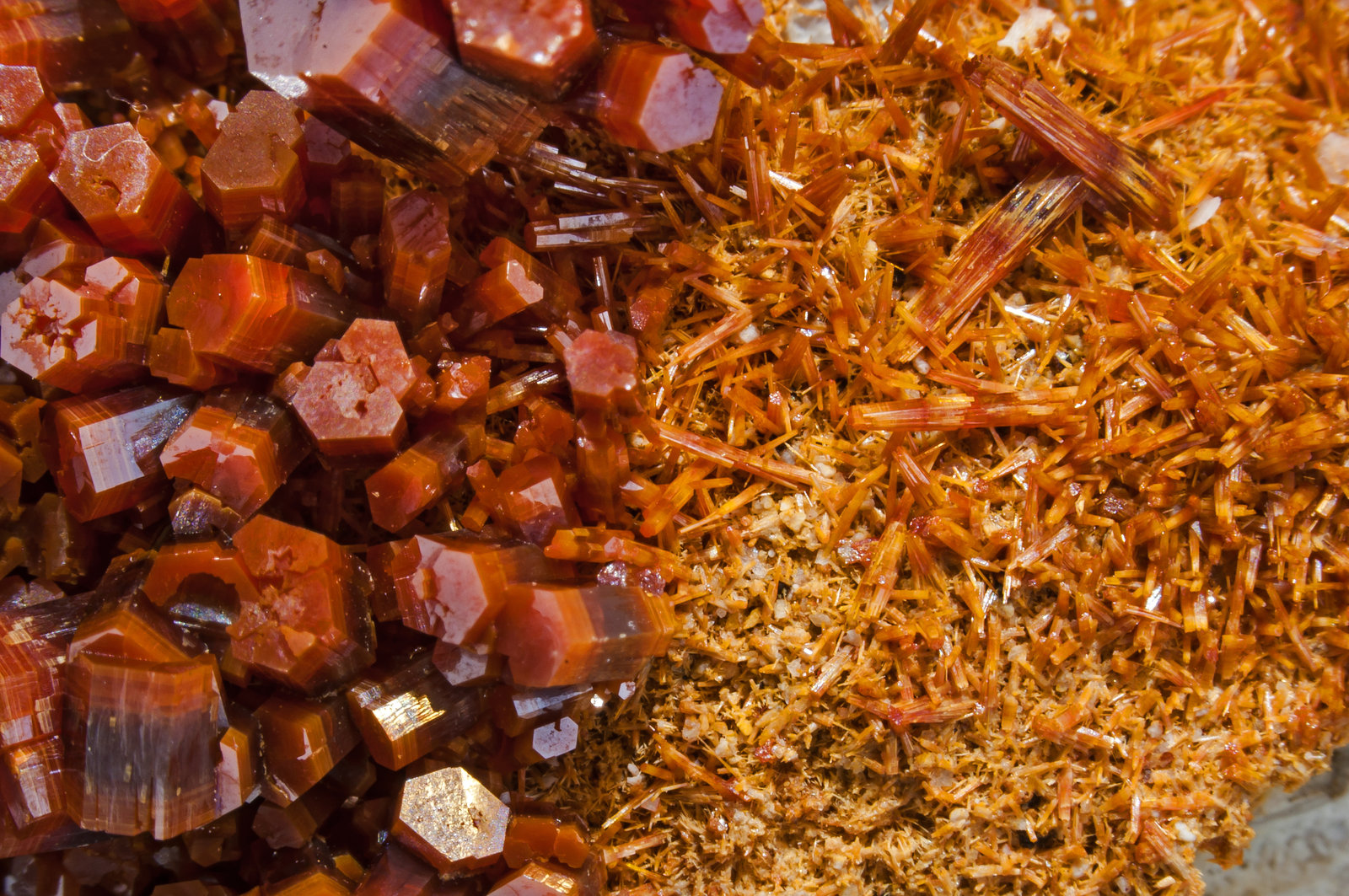 specimens/s_imagesAM2/Vanadinite-EF26AM2d.jpg