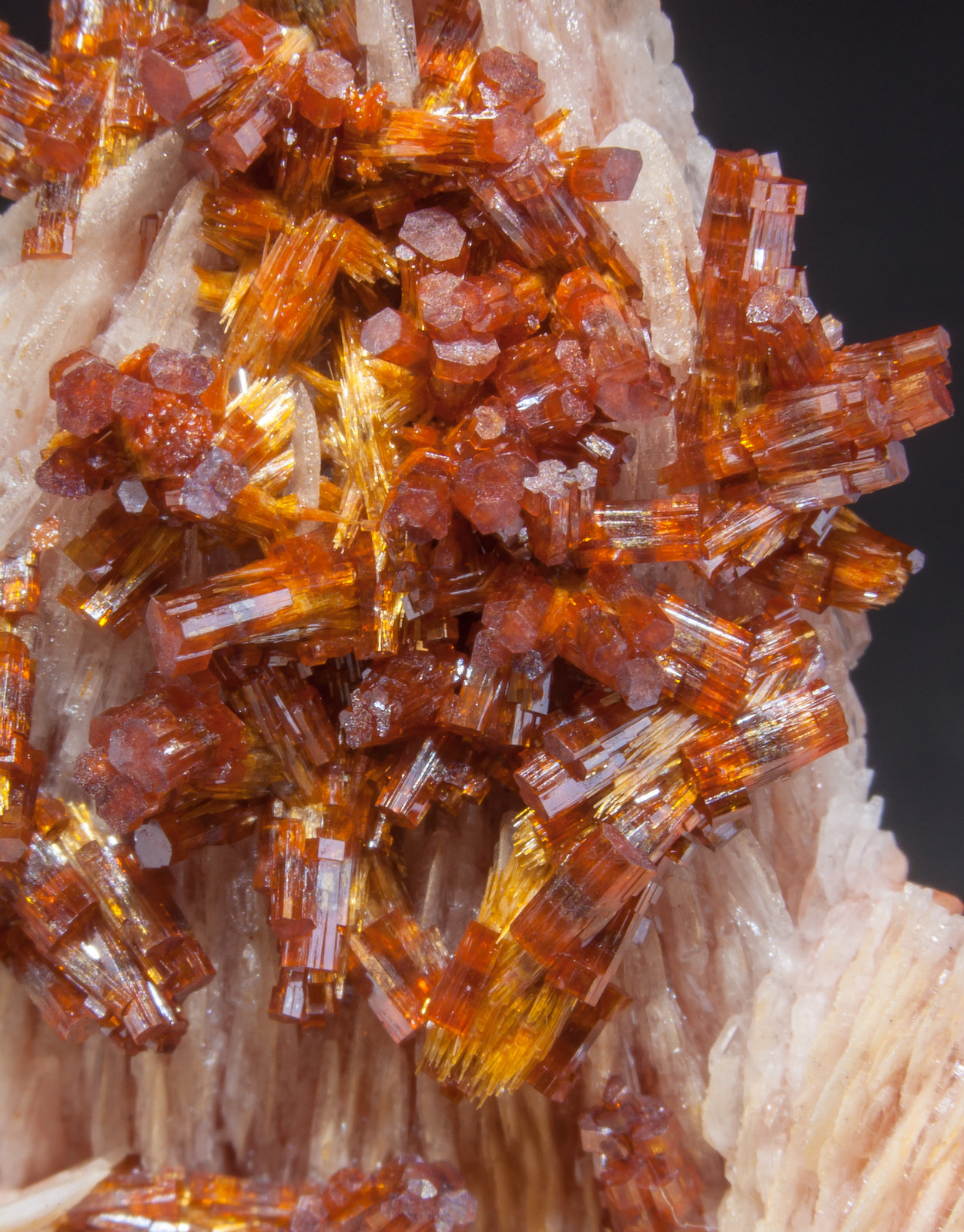 specimens/s_imagesAM2/Vanadinite-EG6AM2d.jpg