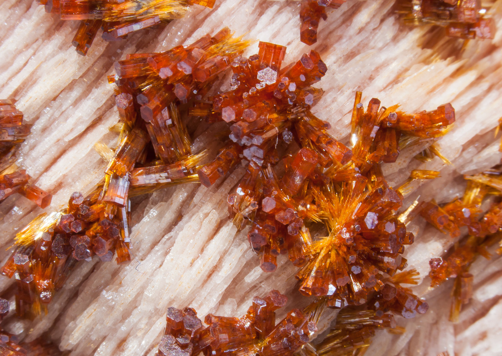 specimens/s_imagesAM2/Vanadinite-EH26AM2d.jpg