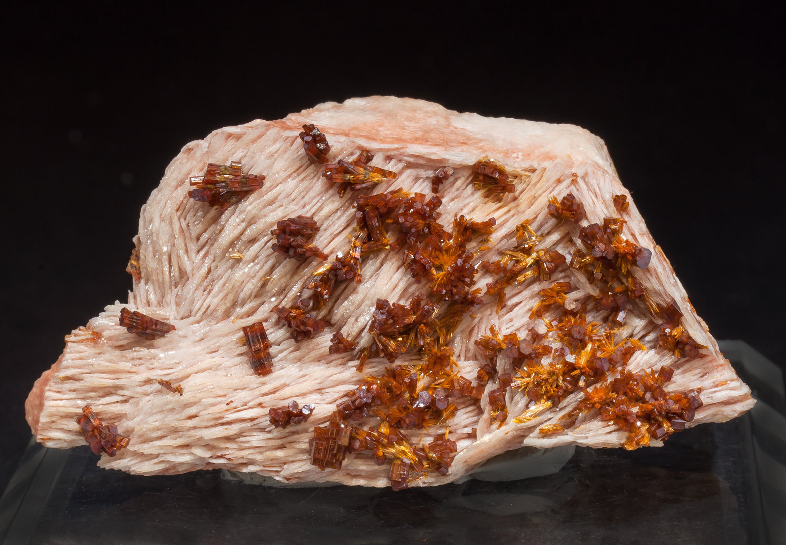 specimens/s_imagesAM2/Vanadinite-EH26AM2f.jpg