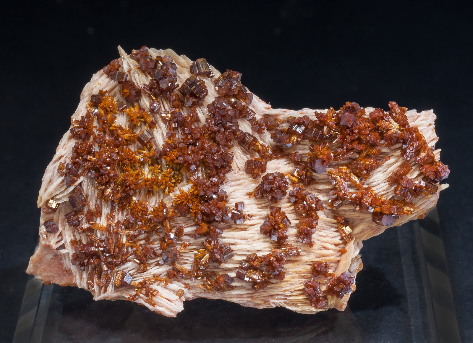 specimens/s_imagesAM2/Vanadinite-EJ56AM2f.jpg