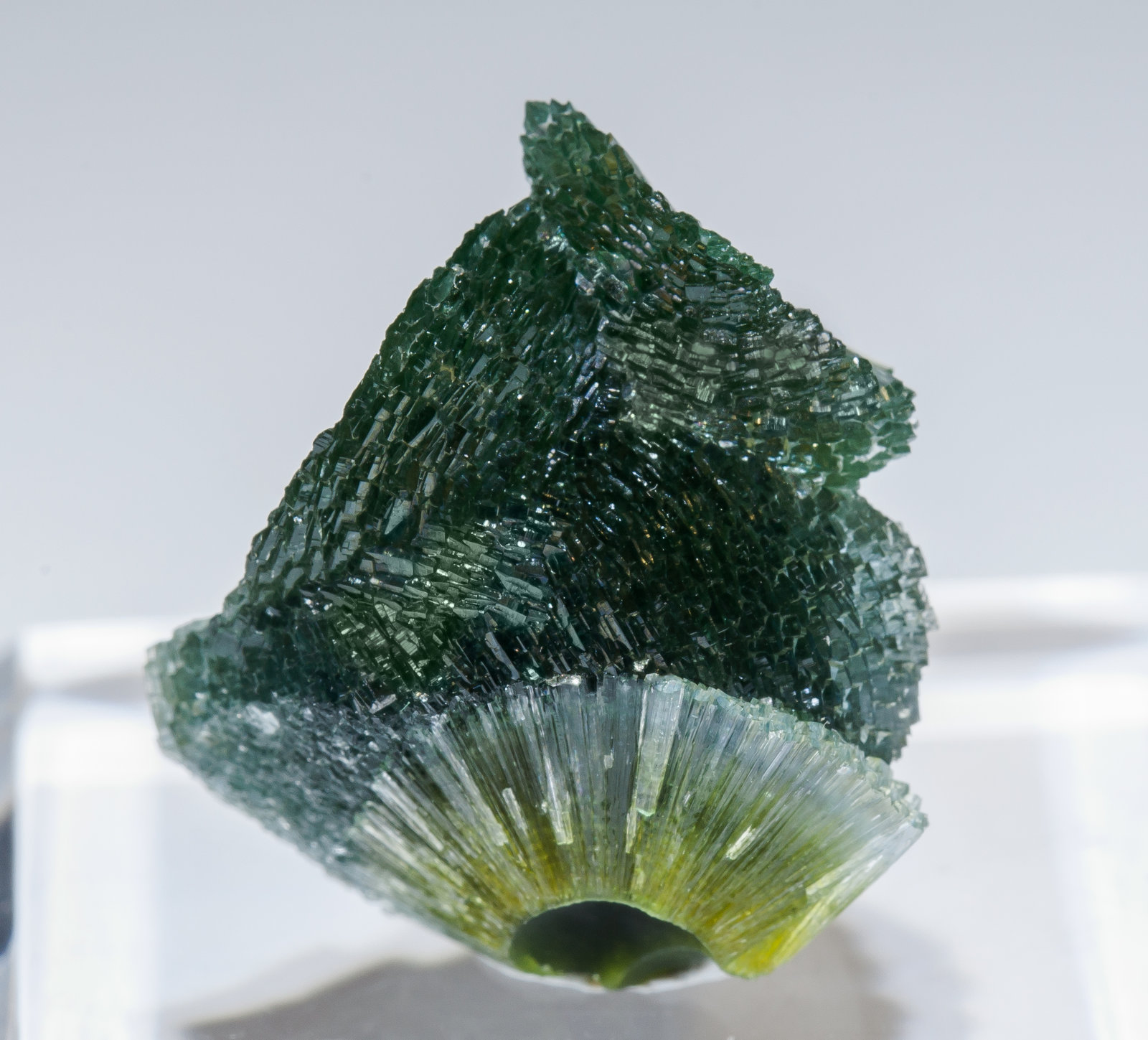 specimens/s_imagesAM2/Wavellite-HB11AM2f.jpg