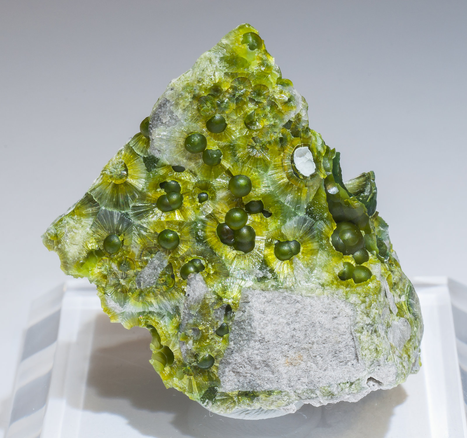 specimens/s_imagesAM2/Wavellite-HD9AM2f.jpg