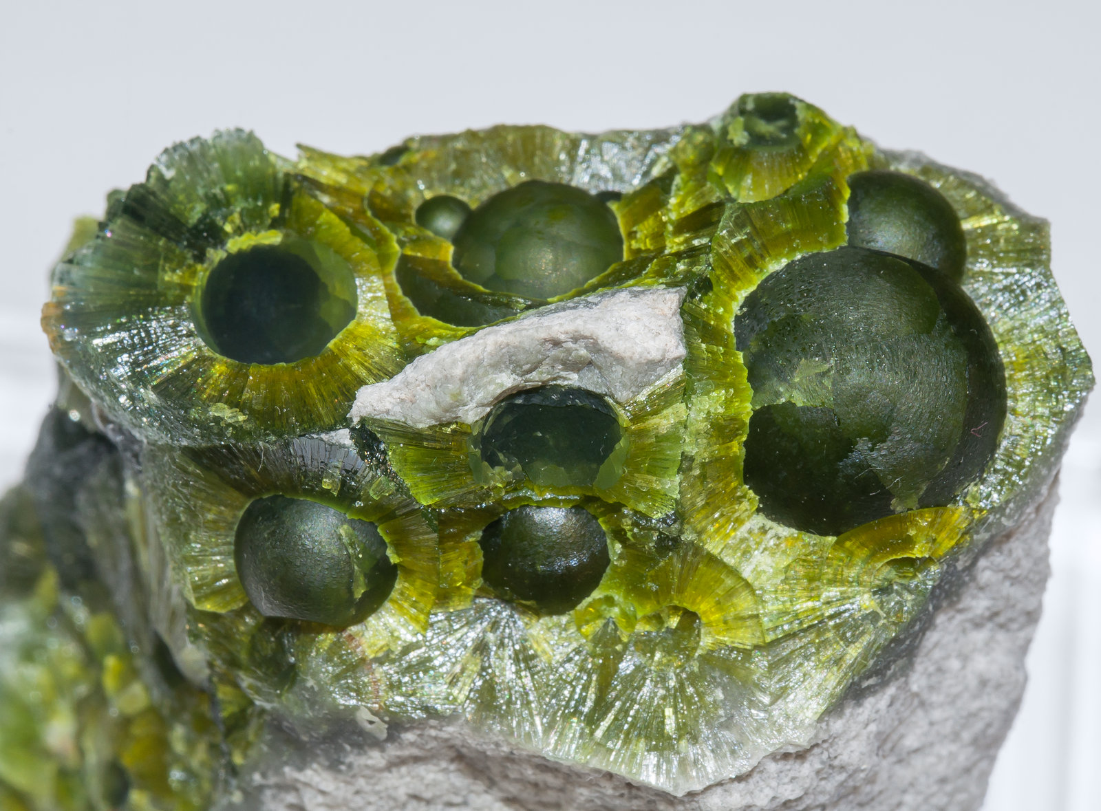 specimens/s_imagesAM2/Wavellite-HF11AM2d.jpg